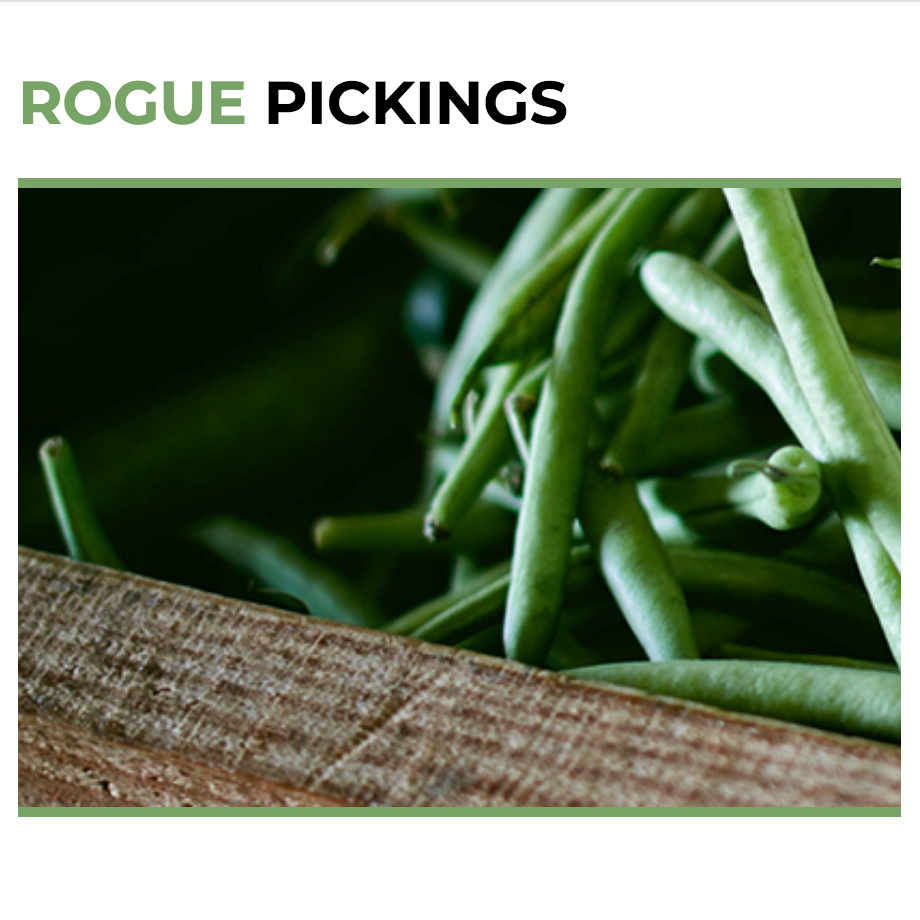 Rogue Pickings site image