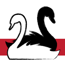 swans portfolio illustration